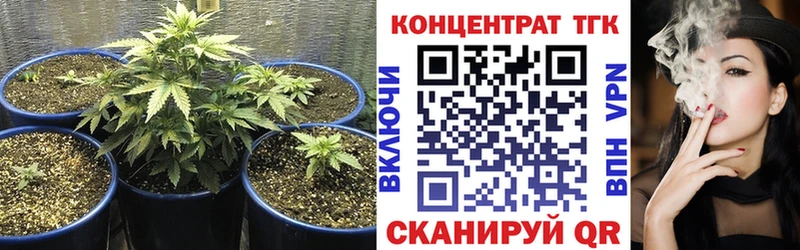 купить  сайты  MEGA как войти  ТГК жижа  Кизилюрт 