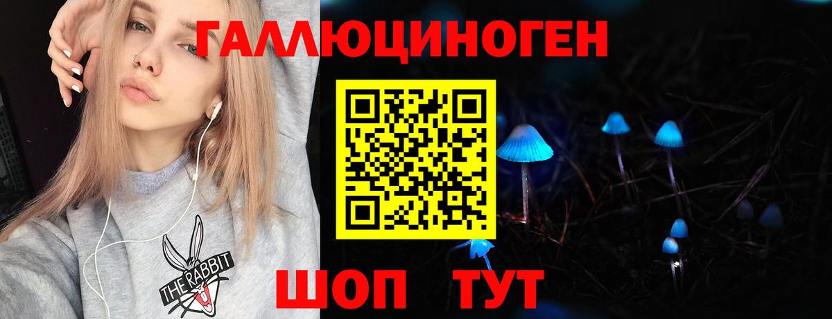 купить   Галлюциногенные грибы Psilocybe  Вход с VPN  Галлюциногенные грибы Magic Shrooms  Кизилюрт 
